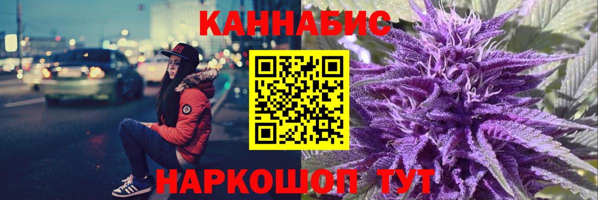Бошки марихуана марихуана Курчатов